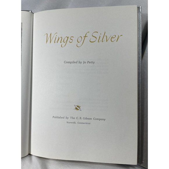 Wings of Silver Pillow Hard Cover Vintage 1967 Book With Original Box Jo Petty - Picture 5 of 12